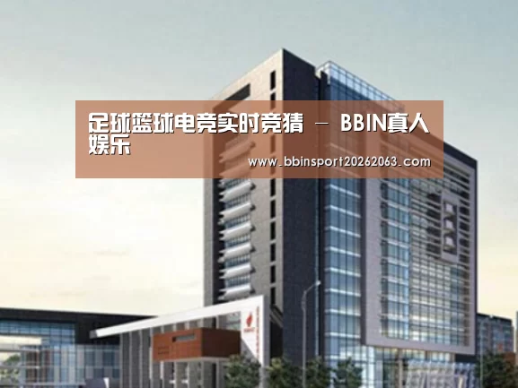 BBIN赛事案例展示四