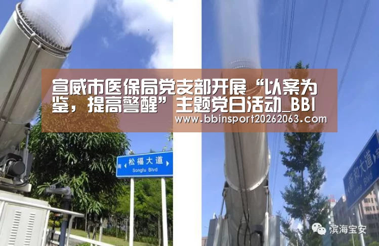 宣威市医保局党支部开展“以案为鉴,提高警醒”主题党日活动_BBIN赛事(图3) BBIN真人
