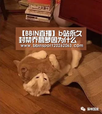 BBIN视讯