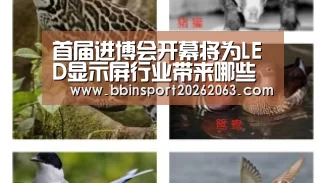首届进博会开幕将为LED显示屏行业带来哪些影响【BBIN直播】(图3) BBIN真人